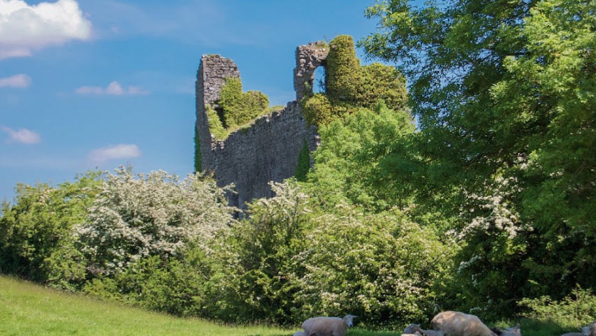 Rindoon Castle, Annagh, Ireland, Ireland
